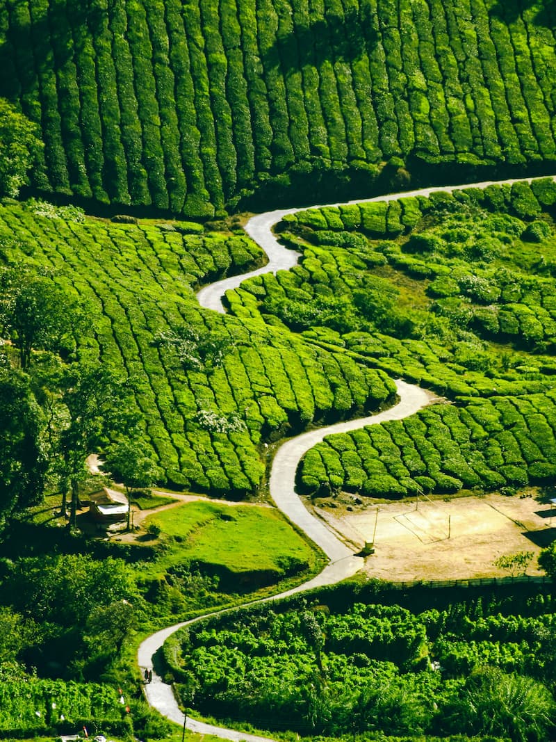 Munnar Hill Station