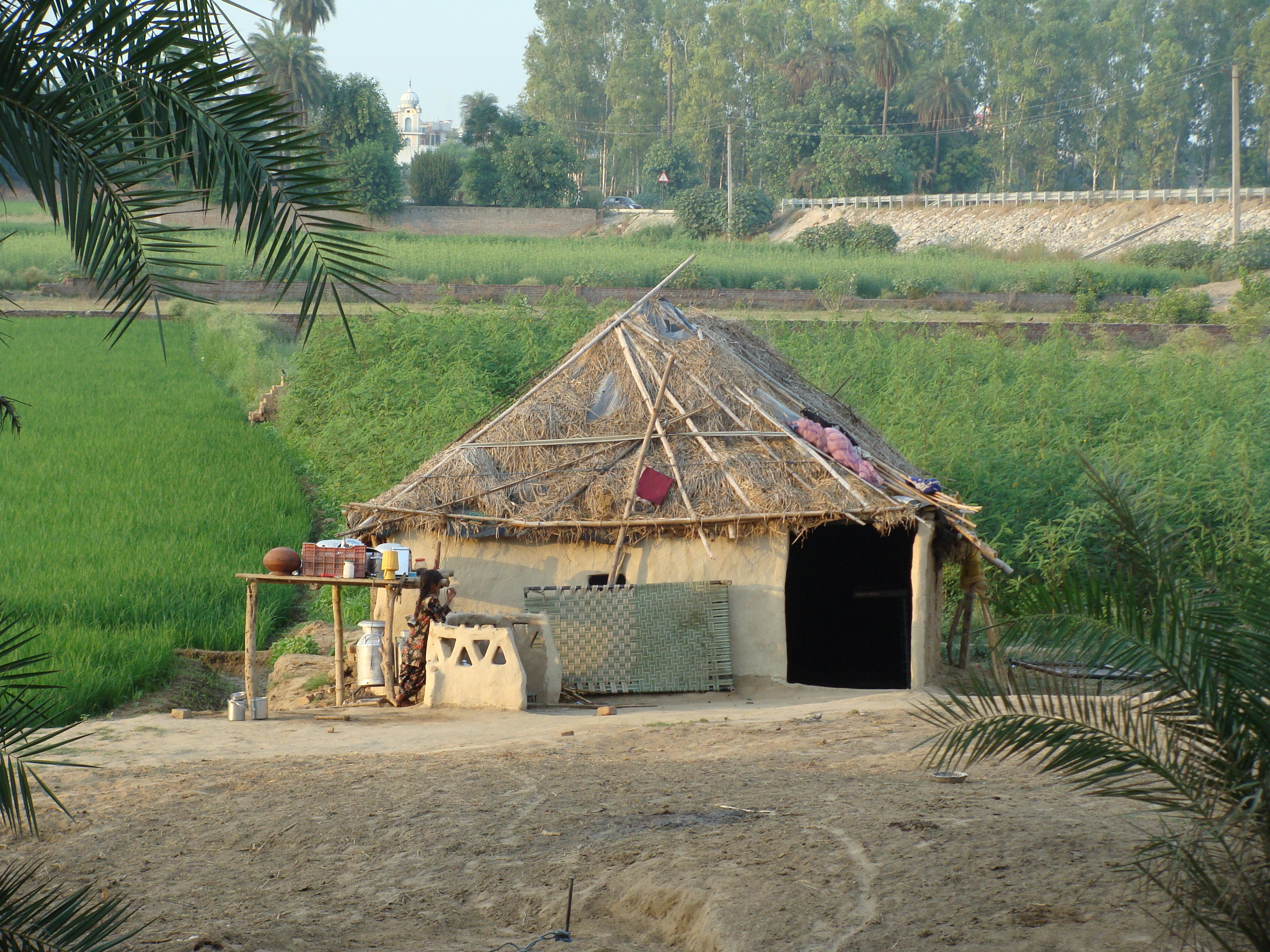 Rural Punjab farm stay — Falcon Green Farm village life